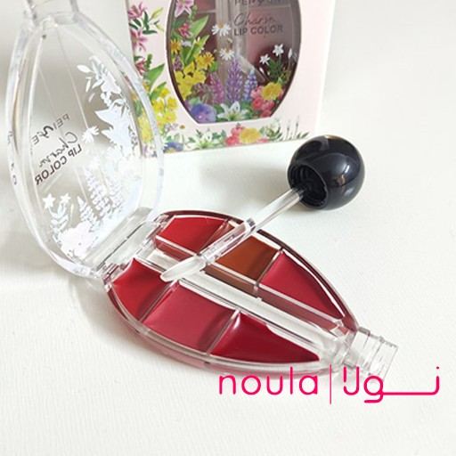 پالت رژ لب 6 رنگ کد p7249