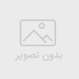 هد سر پاپیون تدی